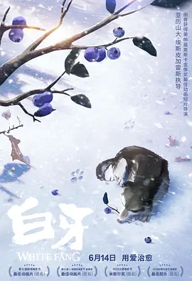 国产精品爽爽久久久久久