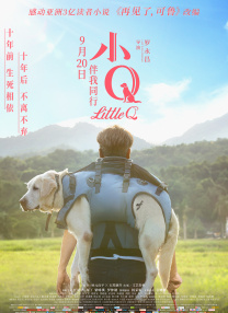 中文字幕在线观看av